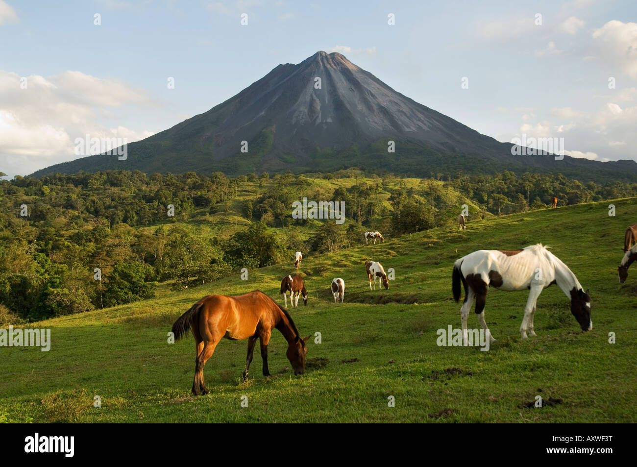 Vulkan Arenal von der Seite von La Fortuna, Costa Rica Stockfoto