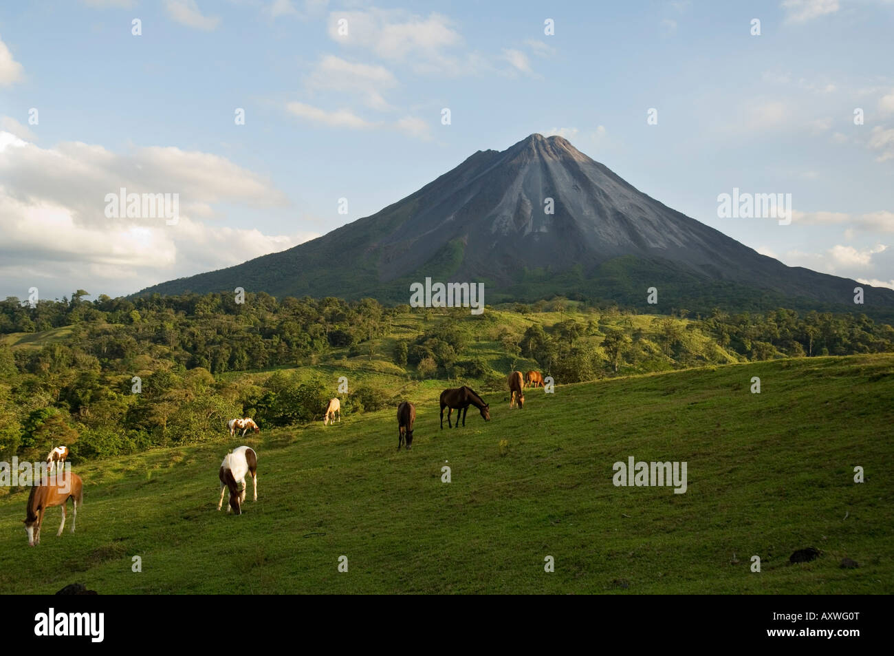 Vulkan Arenal von der Seite von La Fortuna, Costa Rica Stockfoto