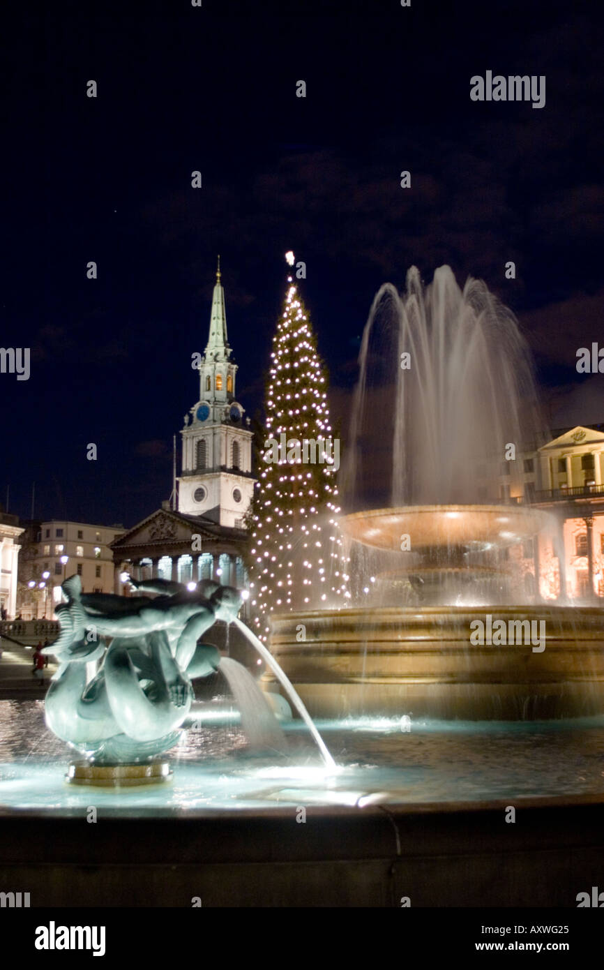 Trafalgar Square in London England an Weihnachten mit riesigen beleuchteten Weihnachtsbaum Jahresgabe aus dem Volk von Norwegen und St Stockfoto