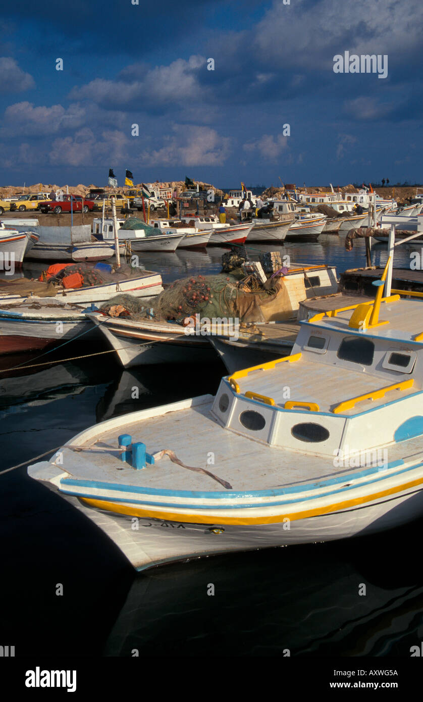 Fischerei Hafen Tartus Syrien Stockfoto