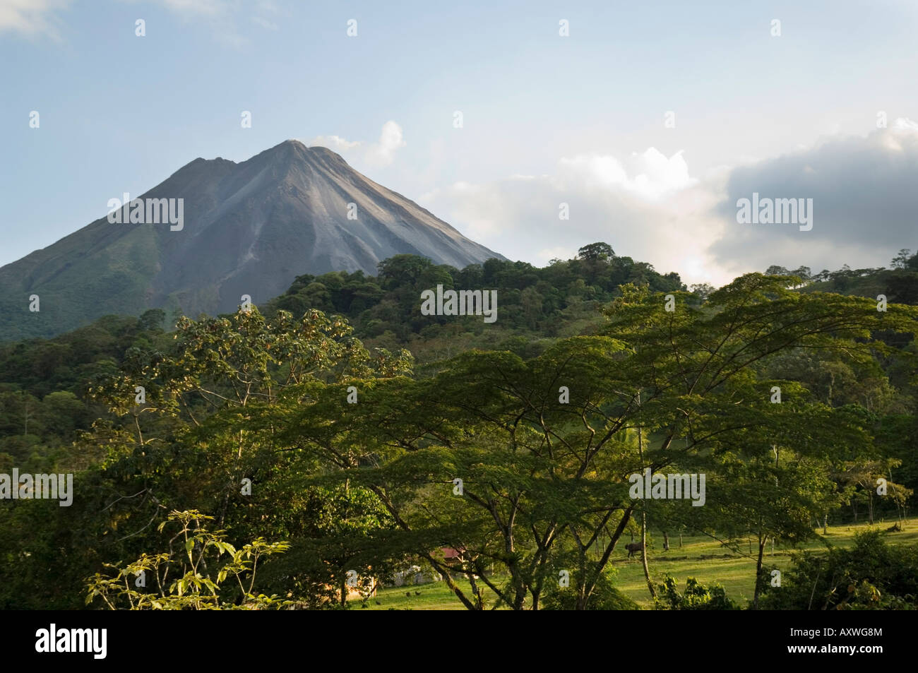 Vulkan Arenal von der Seite von La Fortuna, Costa Rica Stockfoto