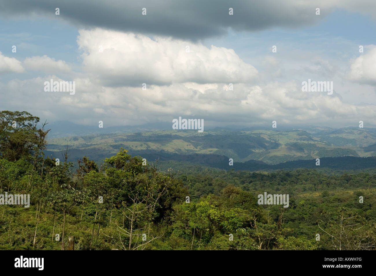 Zwischen La Fortuna und San Ramon, Costa Rica Stockfoto