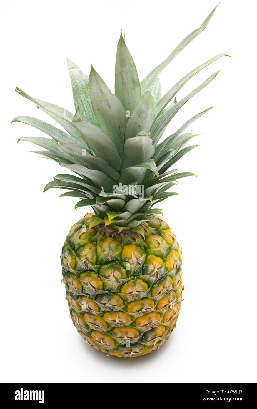 Ananas (Draufsicht) Stockfoto