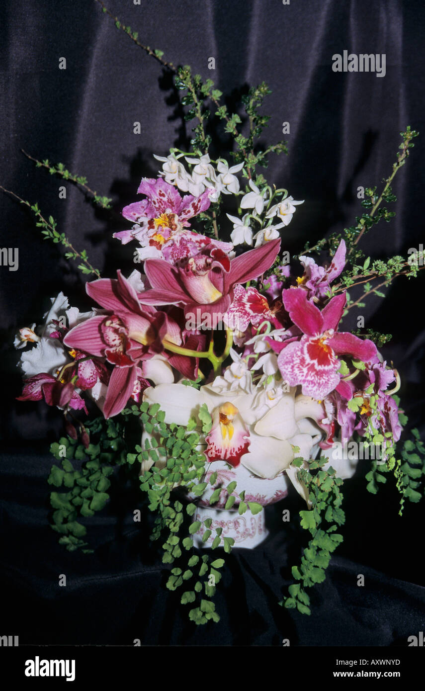 Blumen-Arrangement von Orchideen in vase Stockfoto