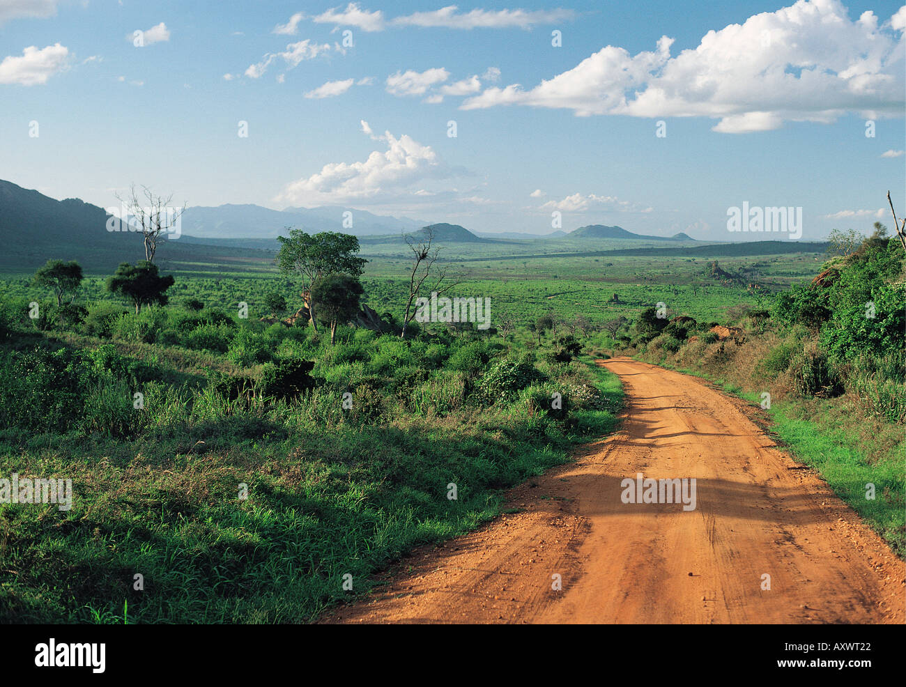 Feldweg in Richtung Taita Hills im Tsavo West Nationalpark Kenia in Ostafrika Stockfoto