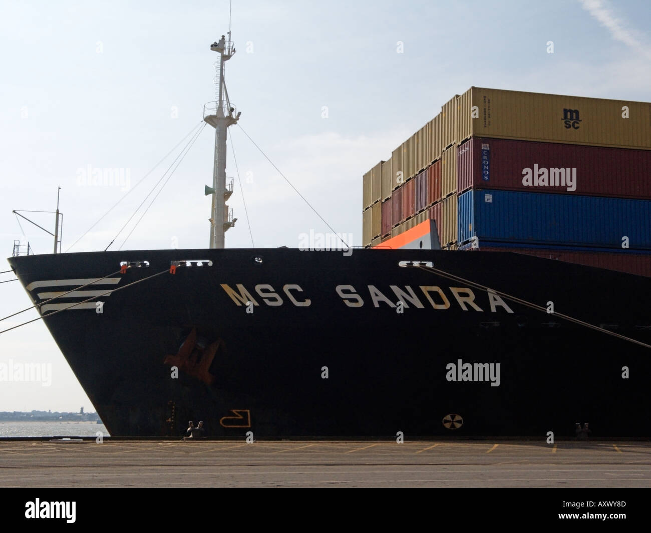 MSC, Containerunternehmen der Mediterranean Shipping Company MSC SANDRA, am Containerterminal liegengeblieben Stockfoto