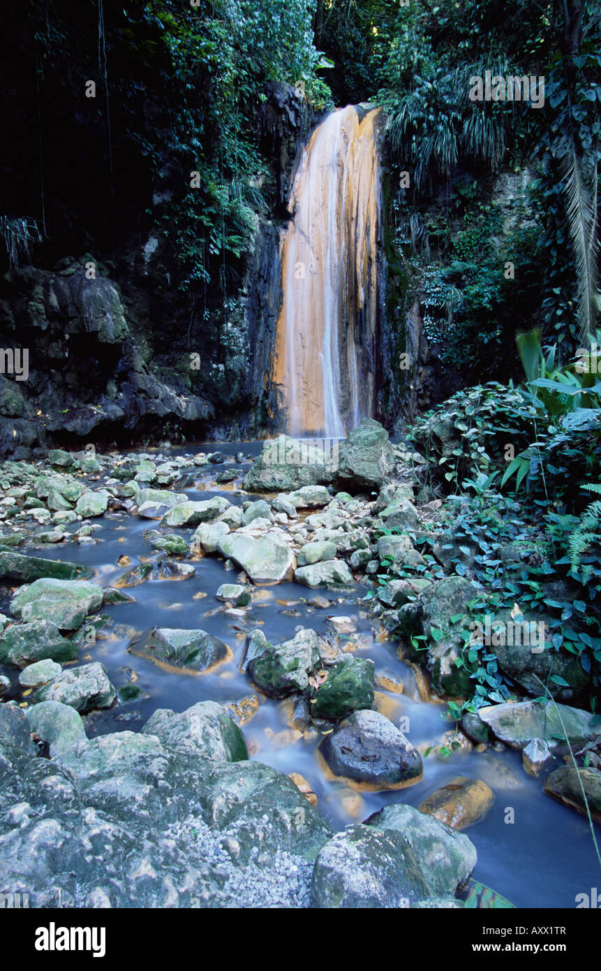 Die Diamond Wasserfälle, Diamond Botanical Gardens, Soufriere, Insel von St. Lucia, Windward-Inseln, West Indies, Karibik Stockfoto