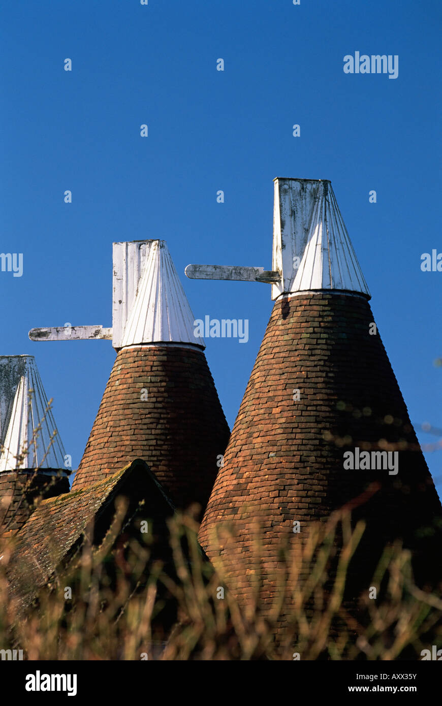 Oast House Dächer, Chiddingstone, Kent, England, Vereinigtes Königreich (UK), Europa Stockfoto