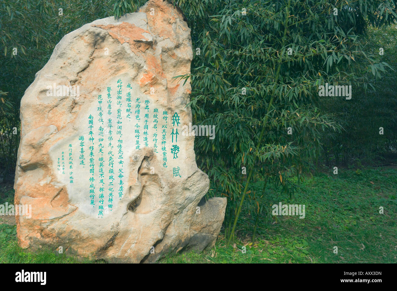 Rock mit chinesischen Schriften und Bambus Wald, lila Bambuspark, Peking, China, Asien Stockfoto