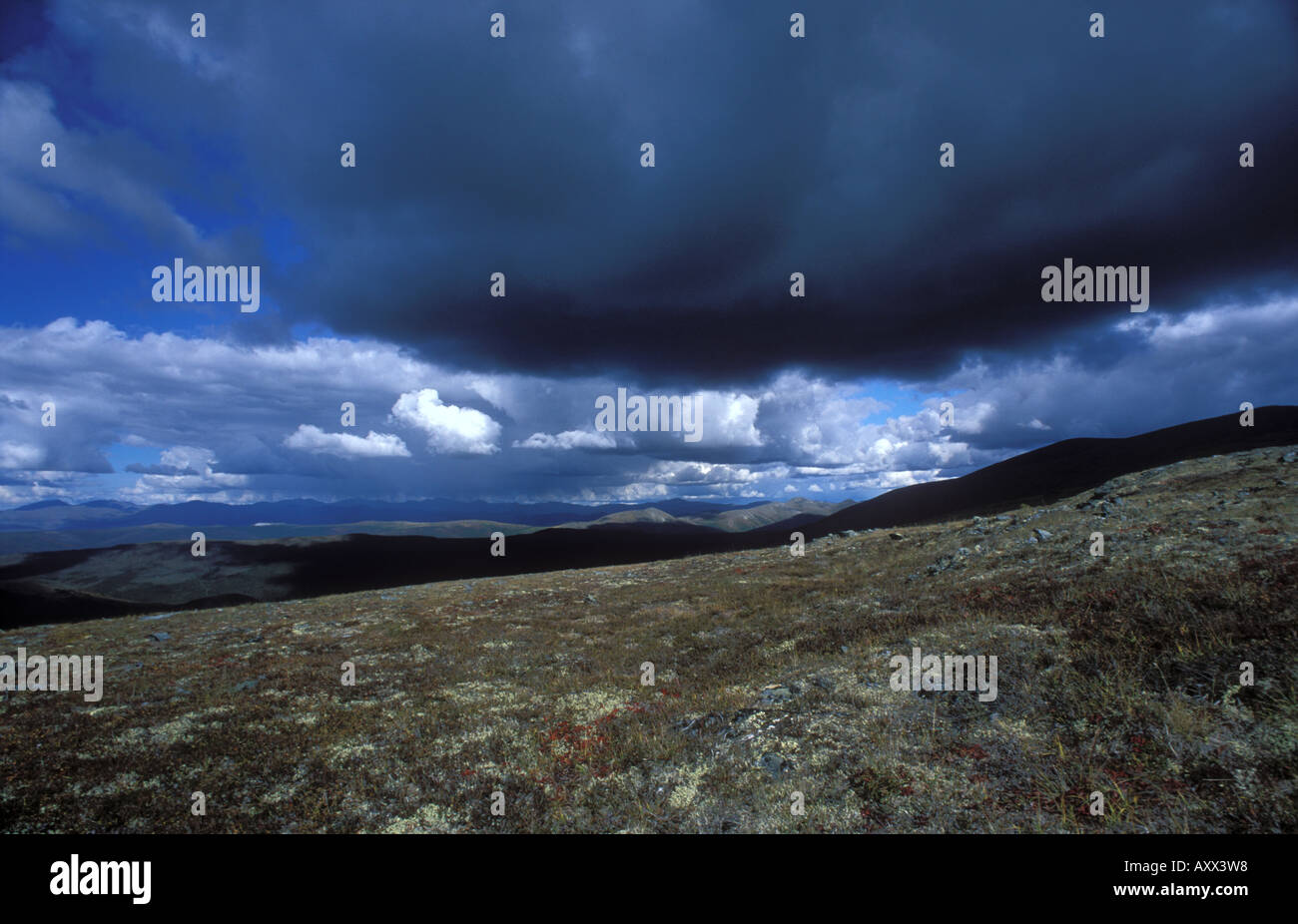 Regenwolken über White Mountains BLM Erholungsgebiet Alaska Autmn tundra Stockfoto