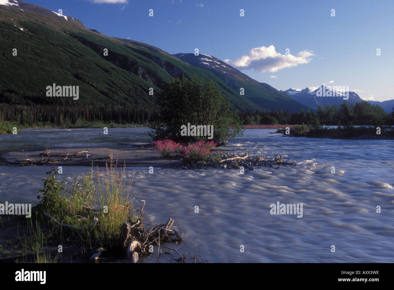 Tlikakila nationale wilde und malerische Fluss Chigmit Mountains Lake-Clark-Nationalpark Alaska Stockfoto