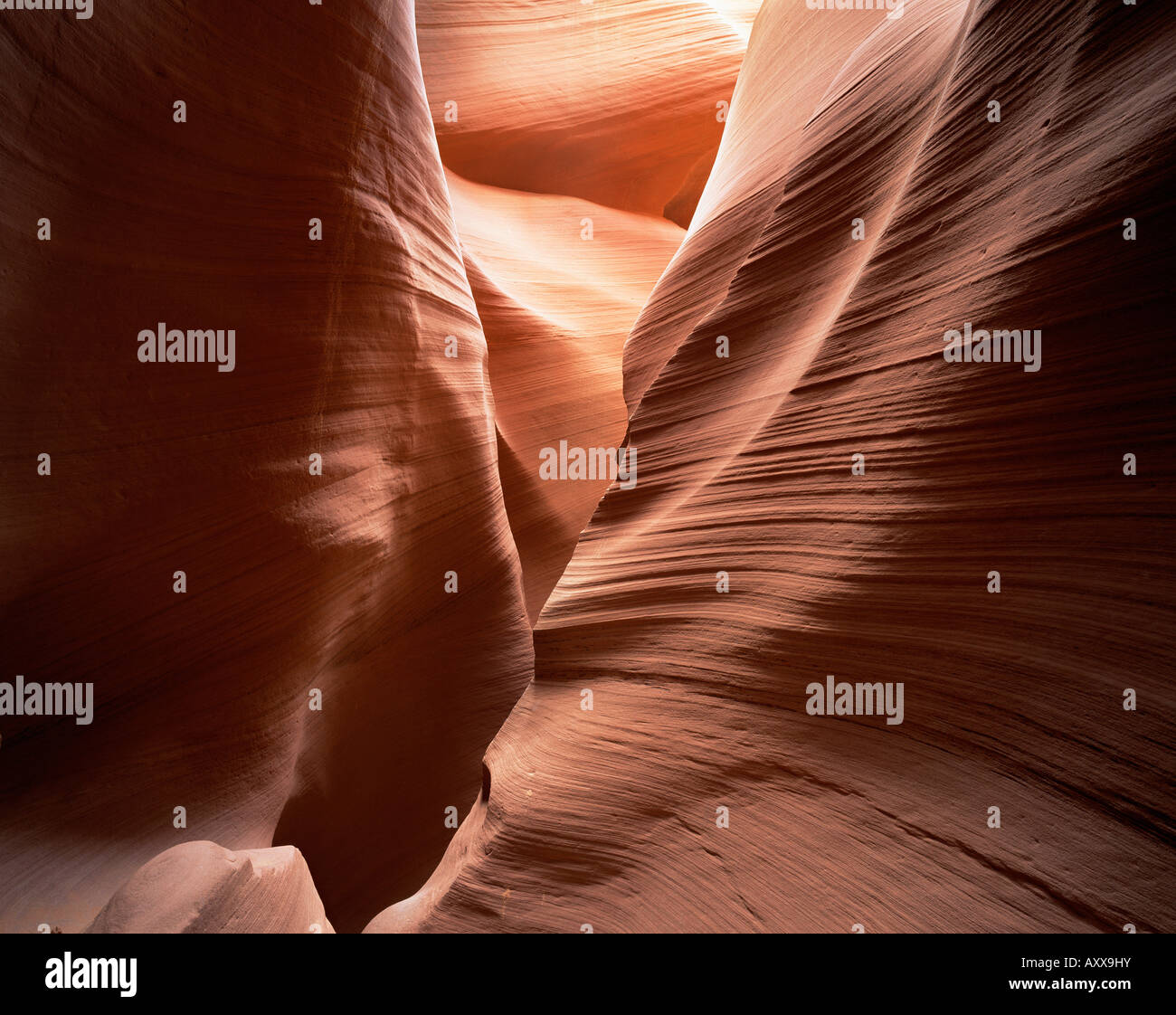 Der Antelope Canyon, Page, Arizona, Vereinigte Staaten von Amerika (U.S.A.), Nordamerika Stockfoto