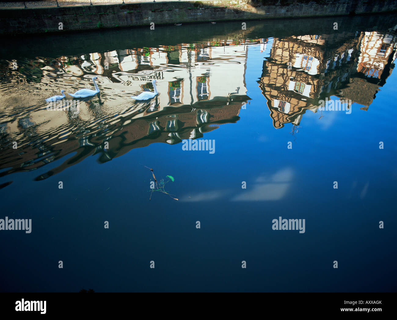 Reflexionen, Straßburg, Bas-Rhin Abteilung, Elsass, Frankreich, Europa Stockfoto