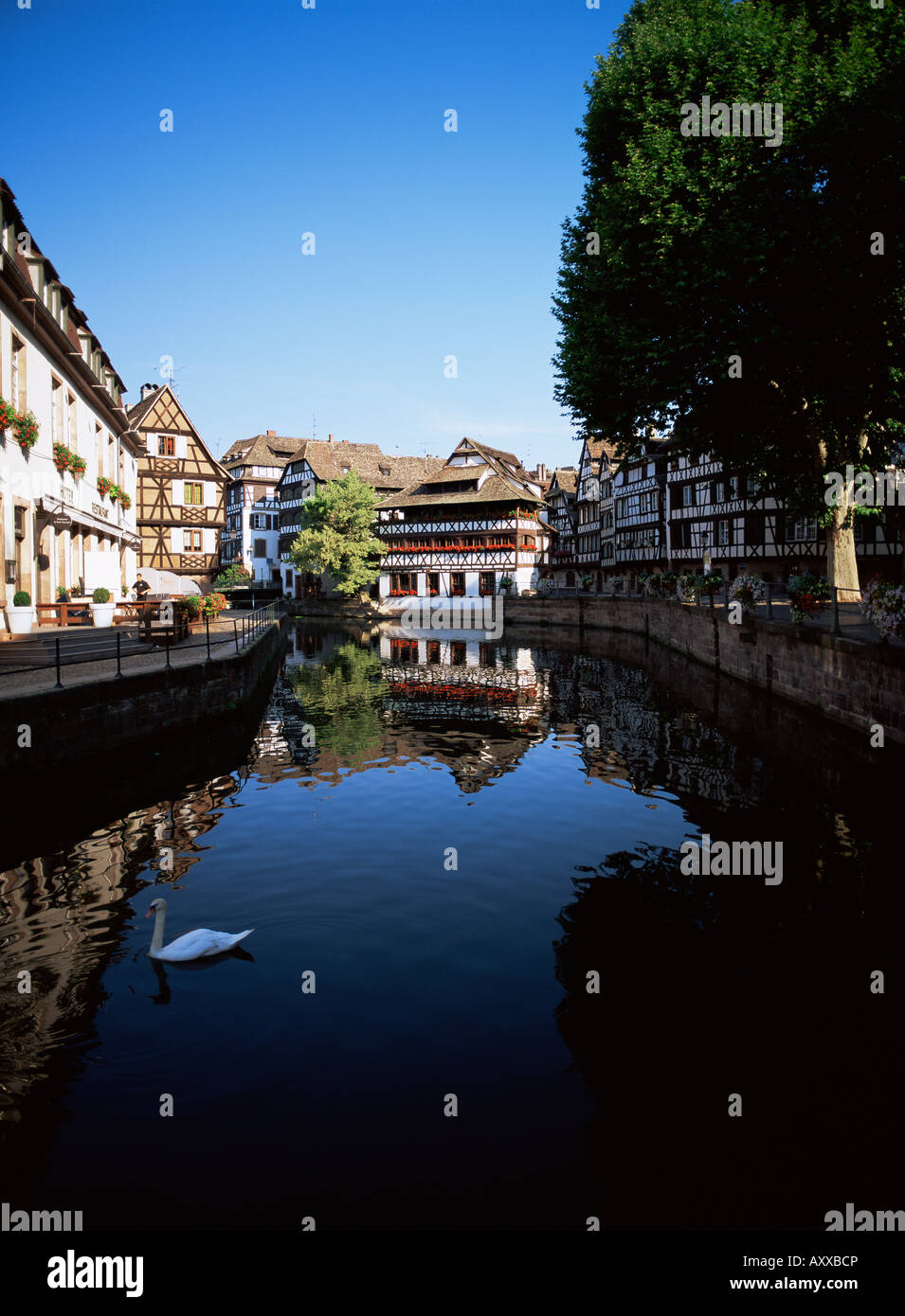 Straßburg, Bas-Rhin Abteilung, Elsass, Frankreich, Europa Stockfoto