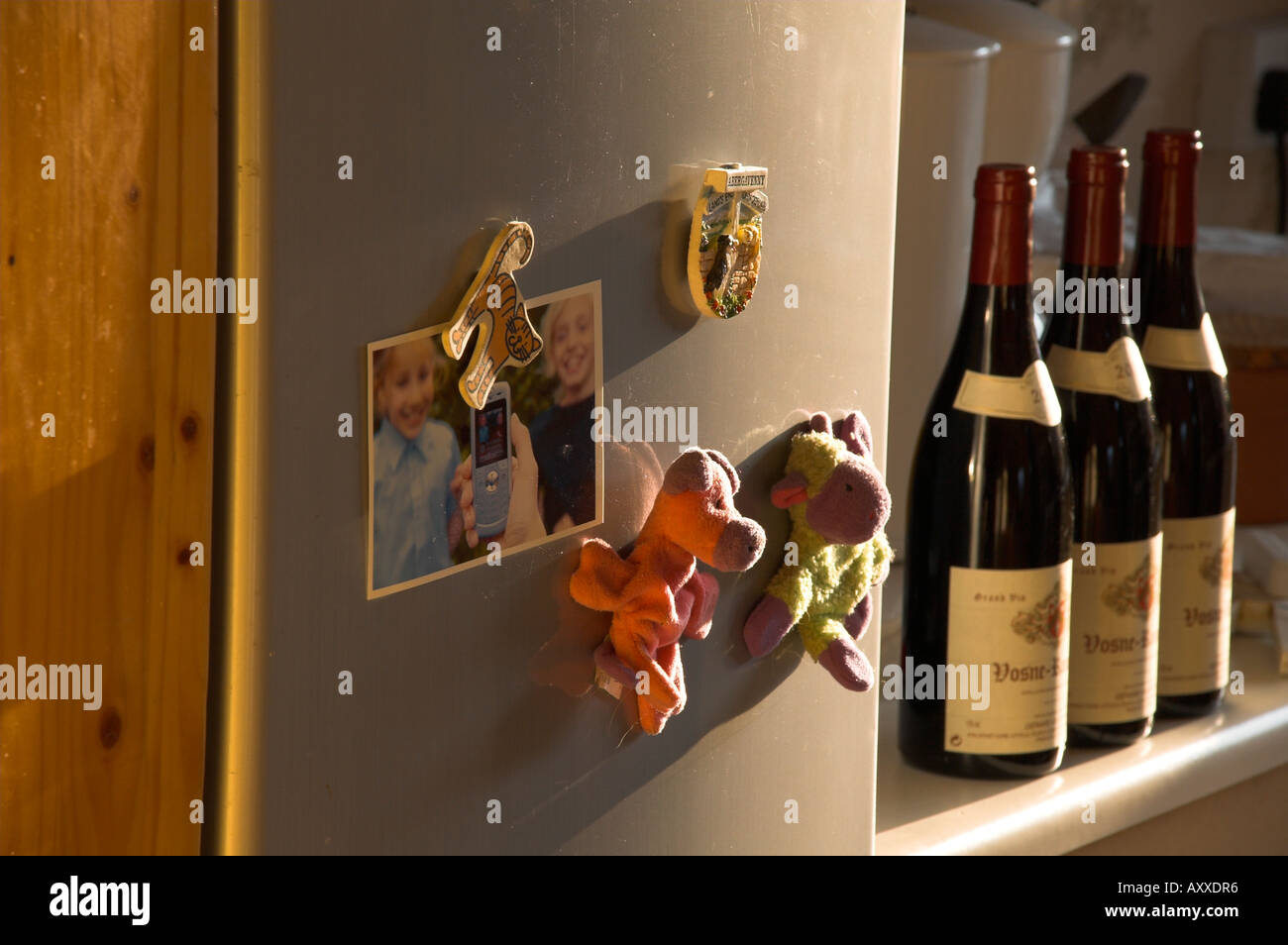 Weinflaschen hinter Kühlschranktür Stockfoto