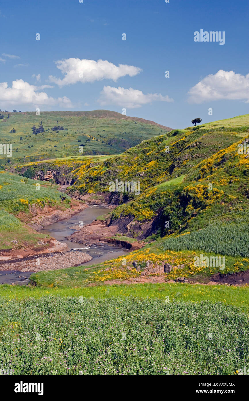 Die Grunen Hugel Von Afrika Stockfotos Und Bilder Kaufen Alamy