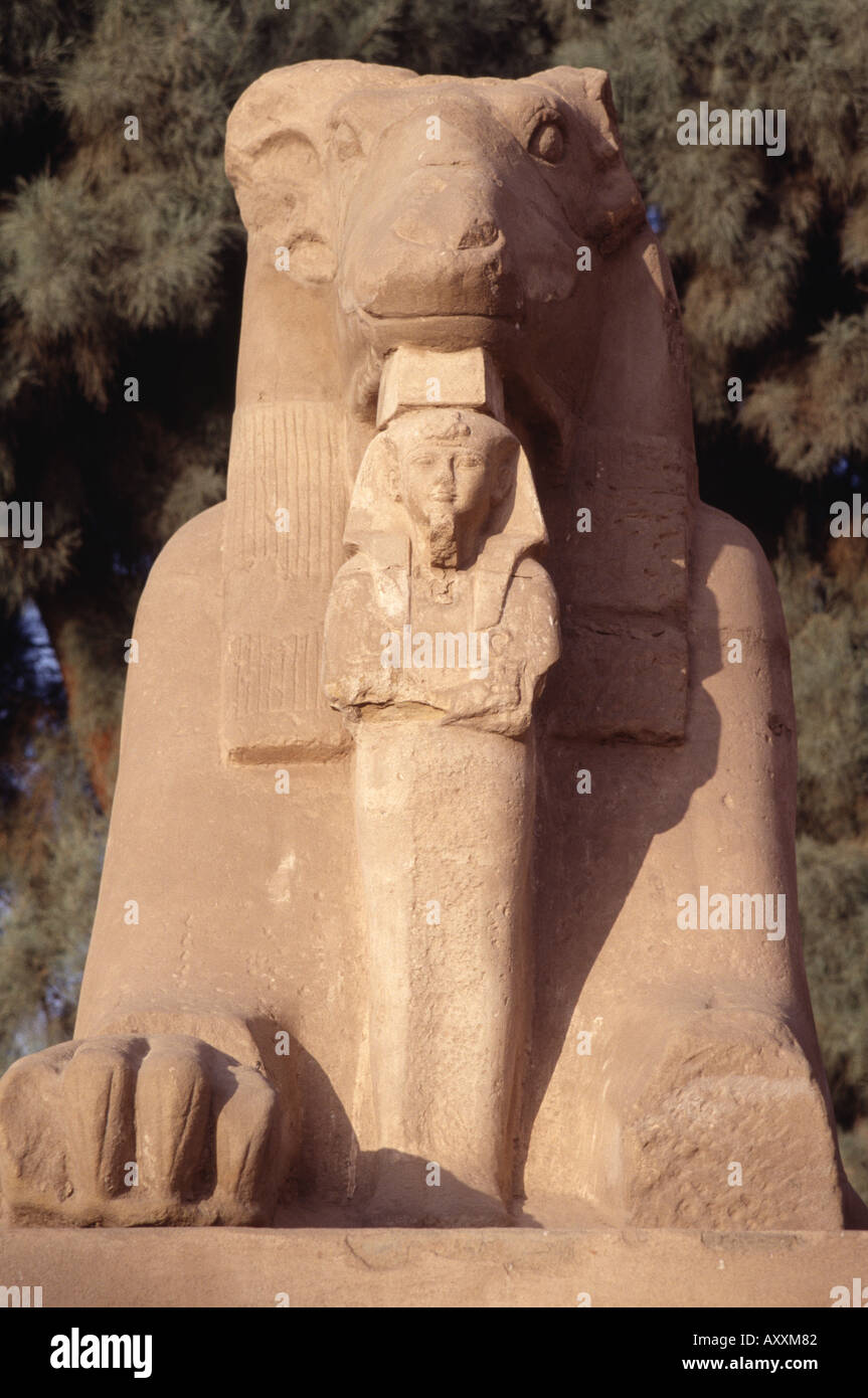 Luxor, Karnak Tempel, Sphinxallee Stockfoto