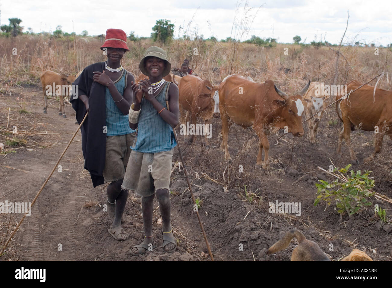 Wasukuma Rinderhirten in Tansania Kilombero Valley Stockfoto