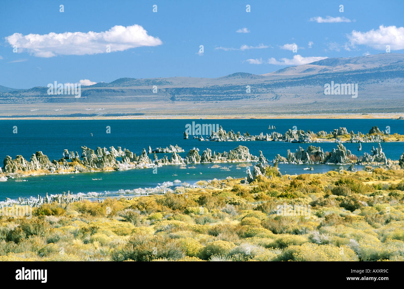 Mono Lake, Kalifornien, USA. Kalktuff-Formationen ausgesetzt durch Senkung der ursprüngliche Wasserstand im Mono Lake, jetzt ein Wasser-reservoir Stockfoto