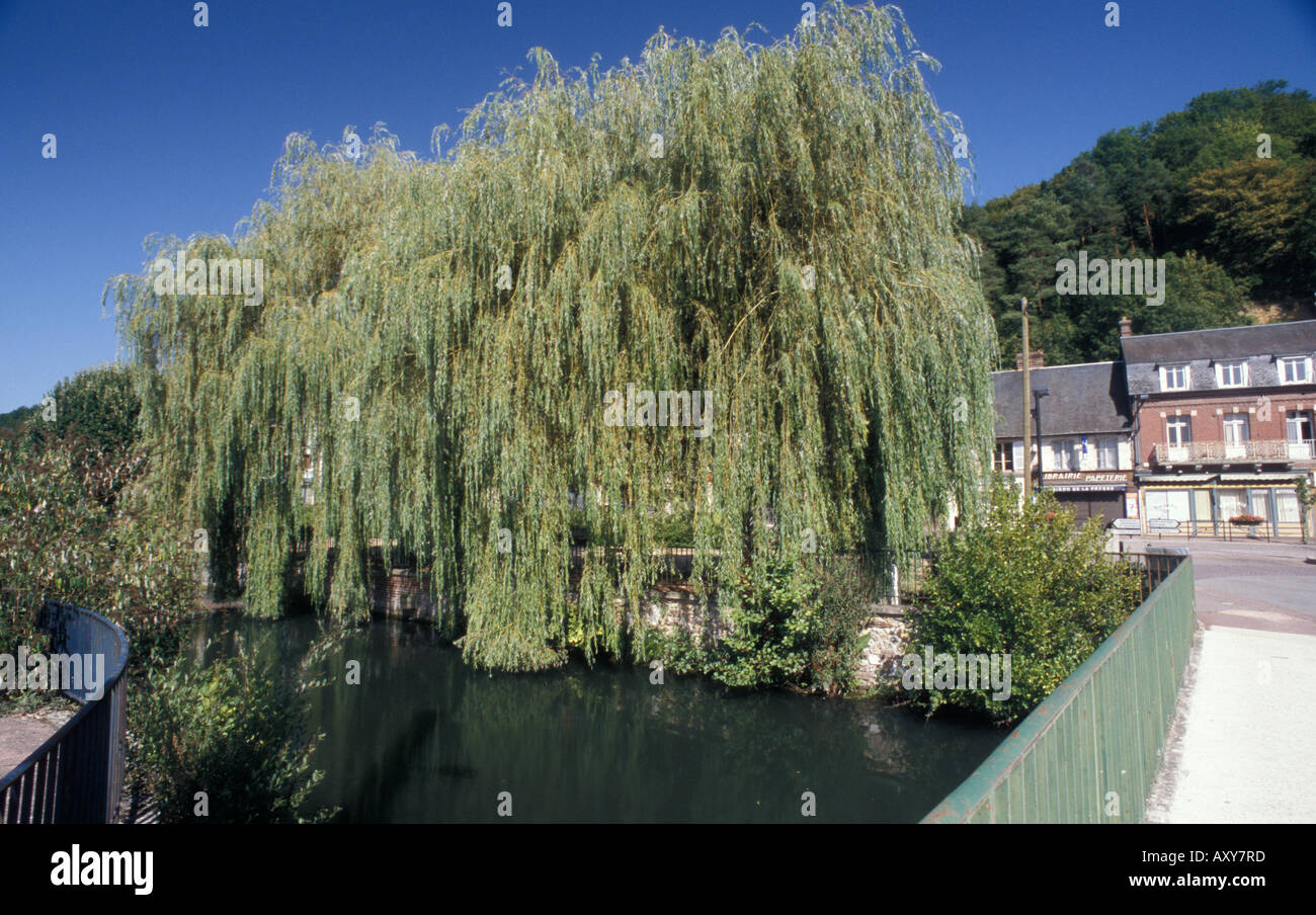 Montfort Sur Risle - Normandie - Frankreich Brücke über Fluss La Risle mit Weide Stockfoto