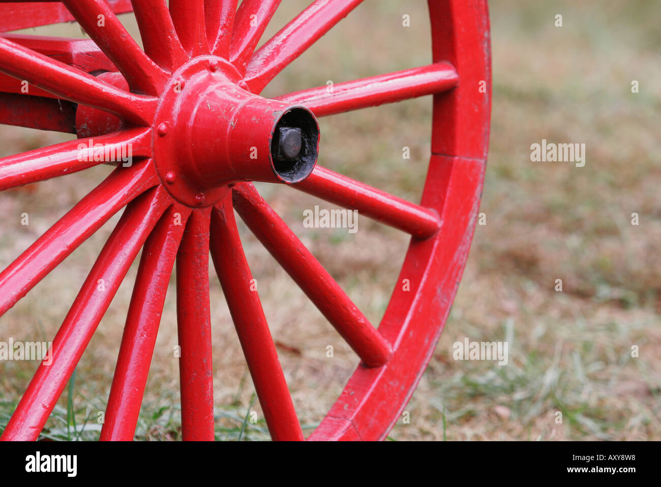 Ein leuchtend roten Wagenrad in den Great Smoky Mountains National Park Stockfoto