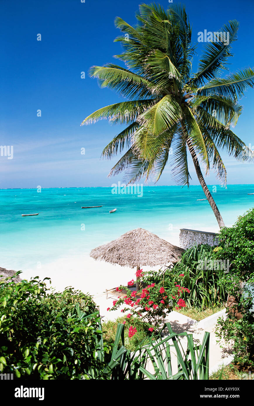 Blick durch Palmen in Richtung Strand und den Indischen Ozean, Jambiani, Insel von Zanzibar, Tansania, Ostafrika, Afrika Stockfoto