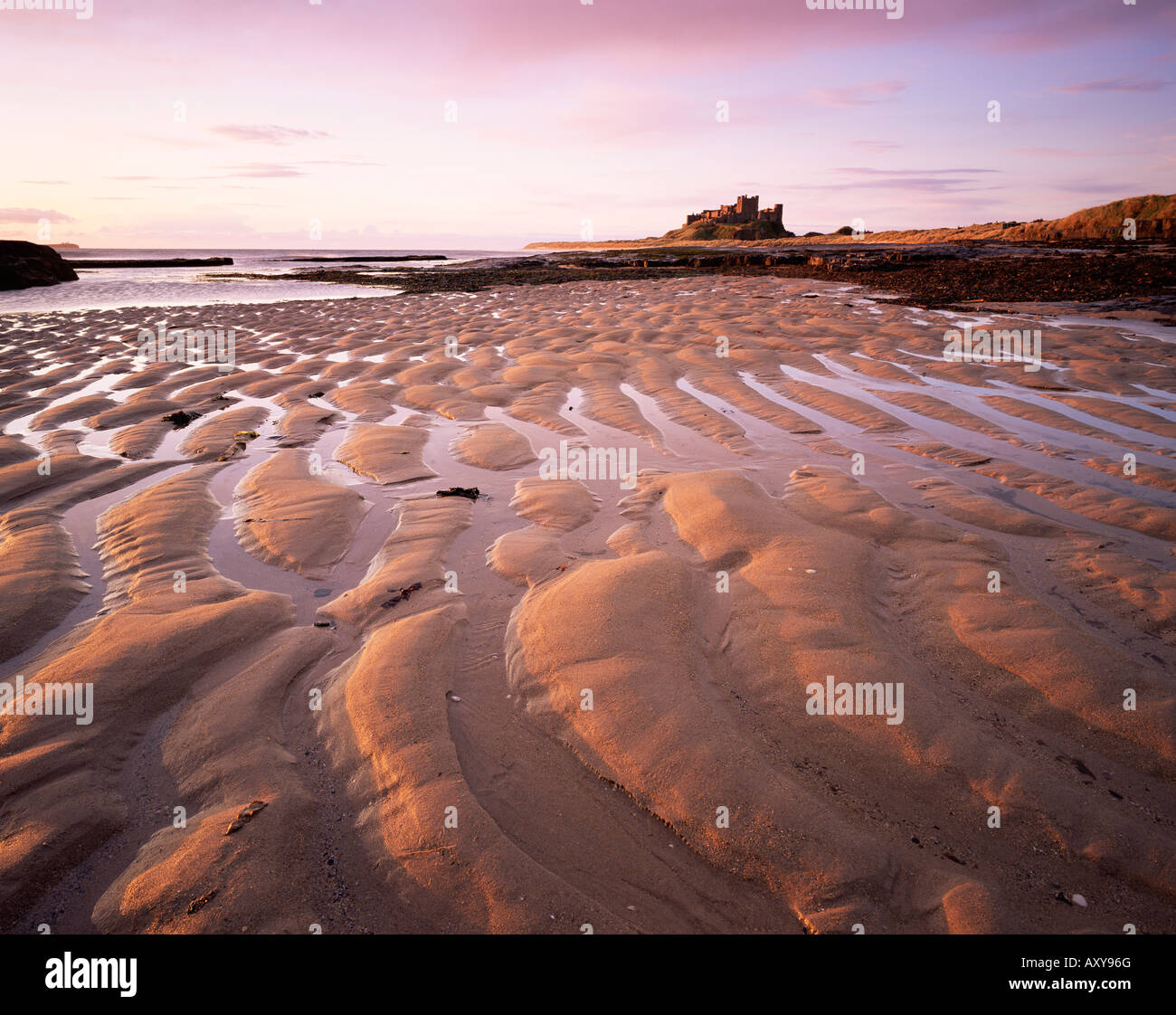 Bamburgh Castle und Bamburgh Strand bei Sonnenaufgang, Bamburgh, Northumberland, England, Vereinigtes Königreich, Europa Stockfoto
