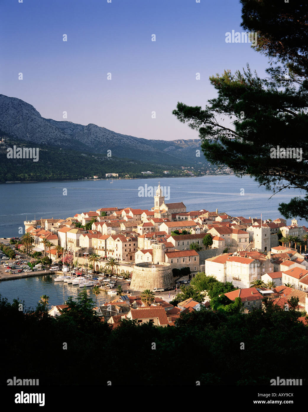 Erhöhten Blick auf Korcula Stadt, alte Stadt Korcula, Insel Korcula, Dalmatien, Dalmatien, Kroatien, Europa Stockfoto