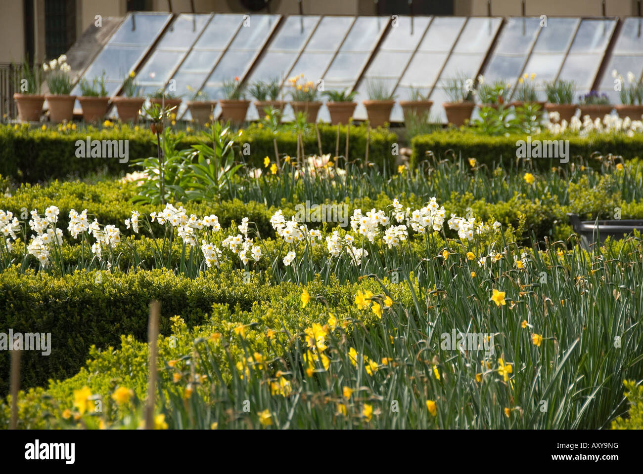 Hot House und Blume Betten im Frühjahr auf die Villa Medici la Petraia Stockfoto