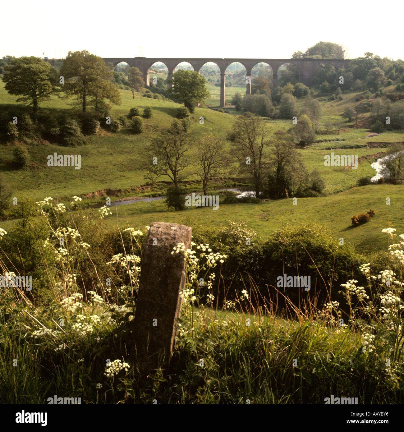 UK Cheshire Congleton Eisenbahnviadukt über Fluss Dane Stockfoto