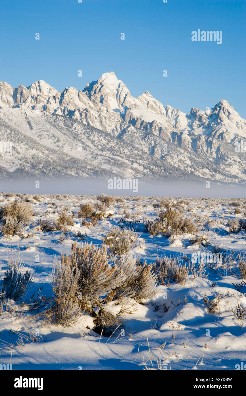 Teton mit ersten Licht im Tal mit Schnee, Grand-Teton-Nationalpark, Wyoming, Vereinigte Staaten von Amerika, Nordamerika Stockfoto