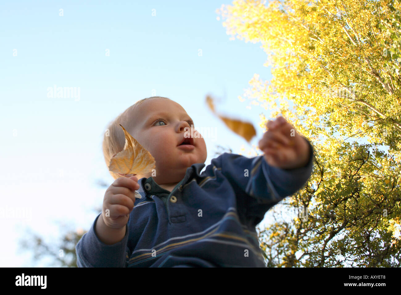 Baby außerhalb mit Blättern spielen. Stockfoto