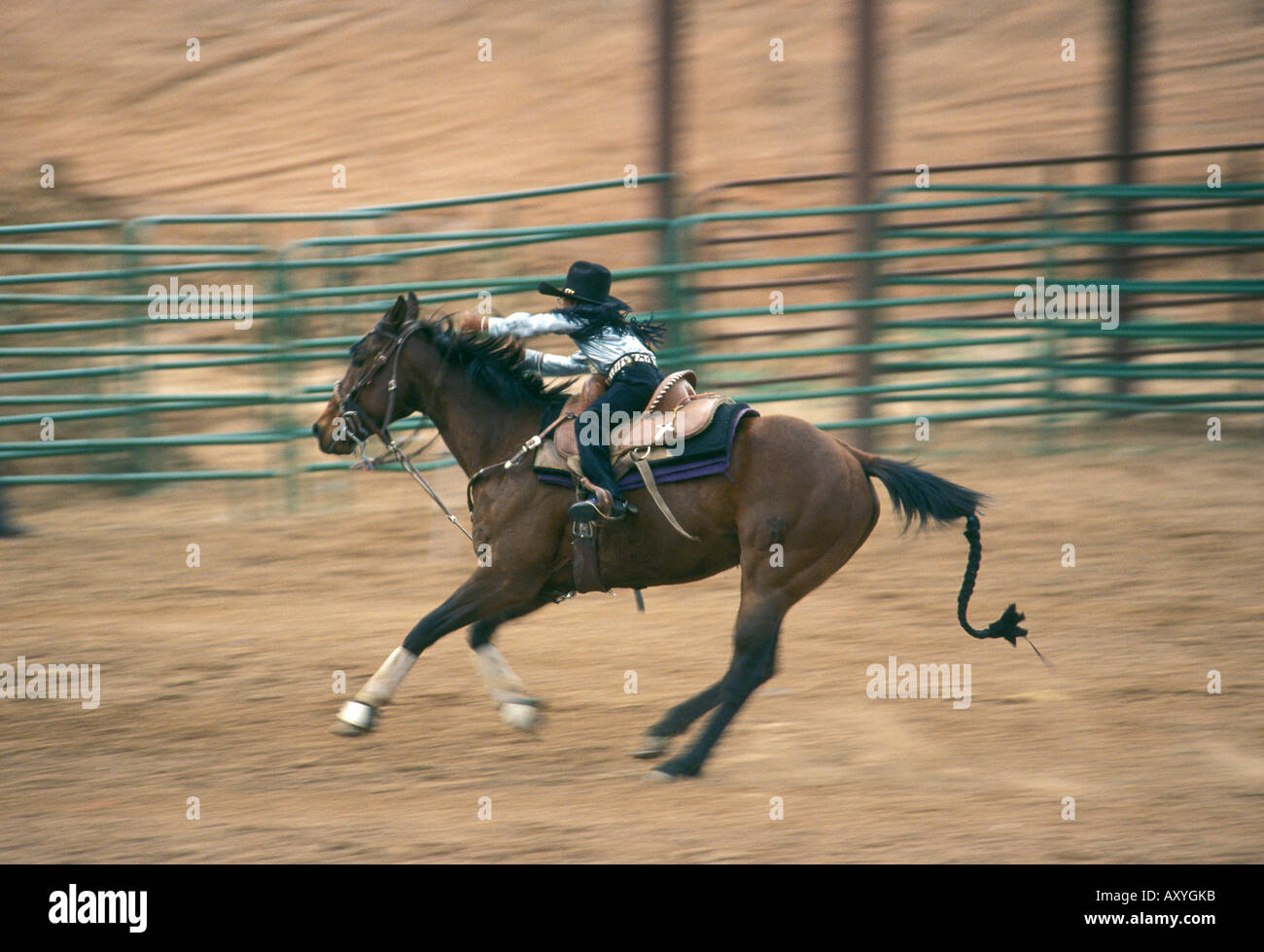 Gallup - New Mexico - USA - 85. Inter-tribal Festival junge indische weibliche Rodeo Reiter Competiting im Barrel race Stockfoto