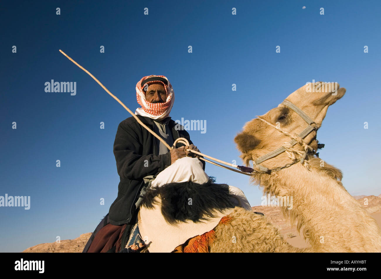 Beduinen auf Kamel in der Wüste, Wadi Rum, Jordanien, Naher Osten Stockfoto