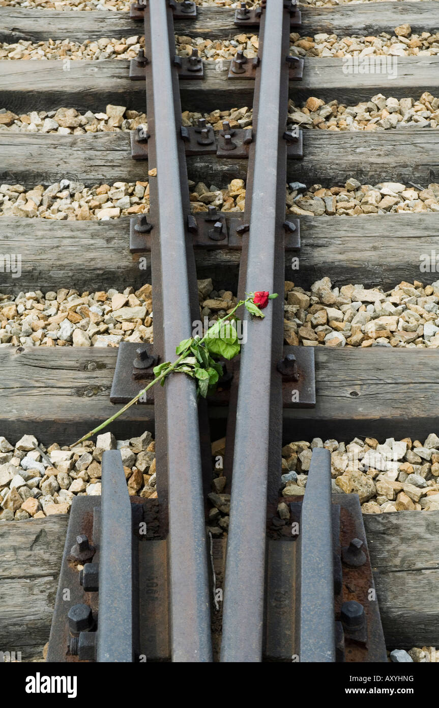 Ehrungen, die Links zu den Toten im zweiten KZ Auschwitz Birkenau, in der Nähe von Krakow (Krakau), Polen Stockfoto