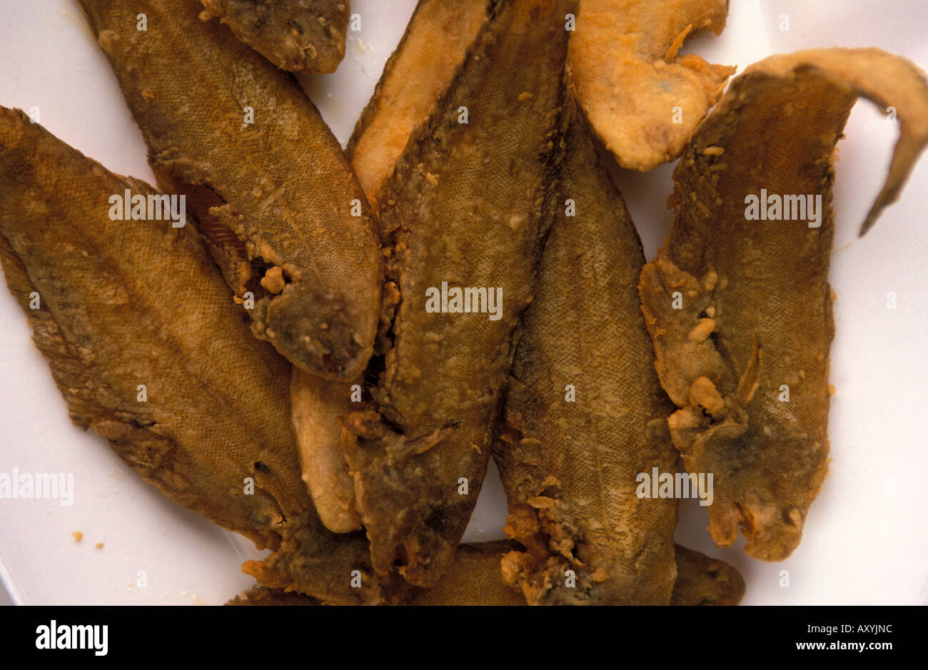 Acidias Fritas Sanlucar de Barremeda ist berühmt für seine Meeresfrüchte, die in den Restaurants von Bajo de Guia frisch serviert werden Stockfoto