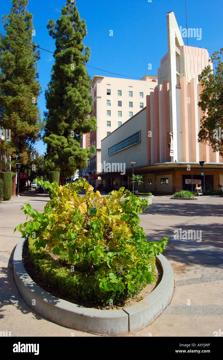 Weinrebe und Gottshalk s Originalspeicher an der Fulton Mall Innenstadt Fresno CA Stockfoto