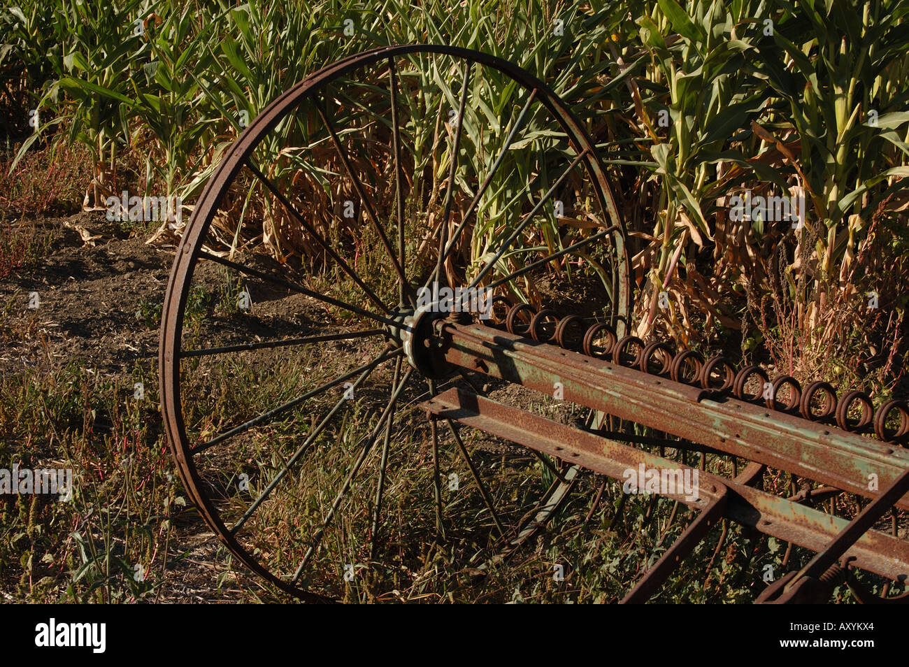 Landmaschinen Stockfoto