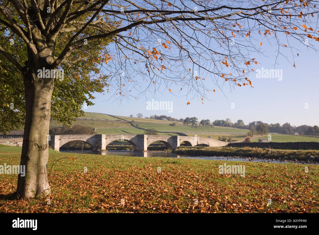 Fluß Wharfe und Stein gewölbten Brücke im Herbst. Burnsall Wharfedale Yorkshire Dales National Park England UK Großbritannien Stockfoto