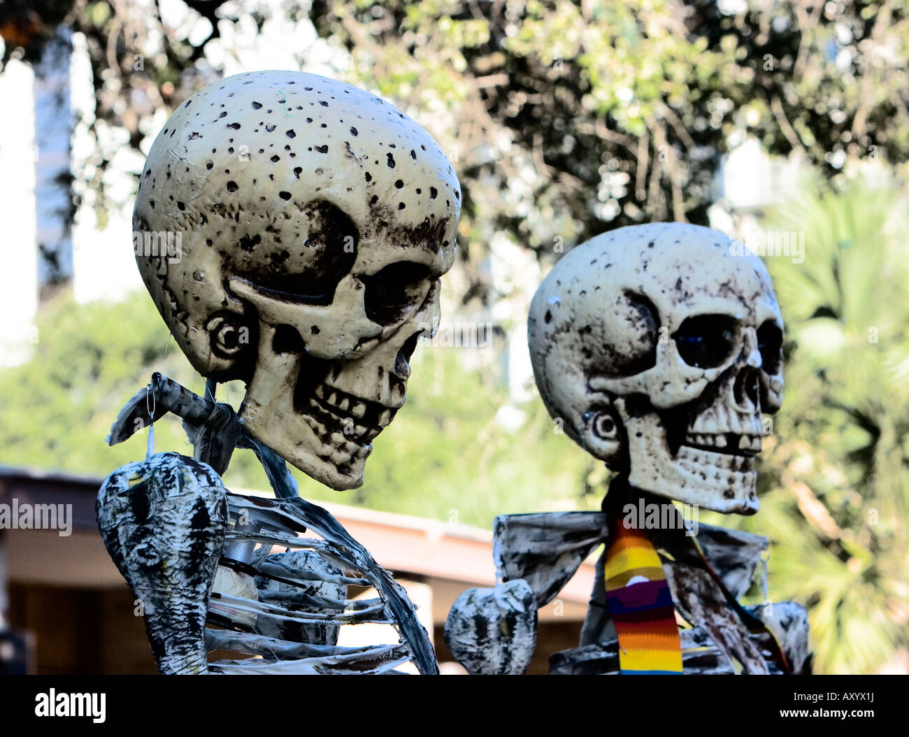 Calaveras in San Antonio Texas Tag von den Toten Dia de Los Muertos-Feier Stockfoto