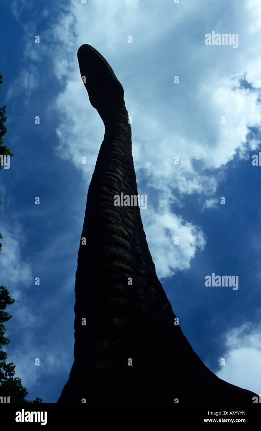 Niedrigen Winkel Schuss von Lifesize Modell der Dinosaurier Dinosaur Adventure Park In Norfolk Stockfoto