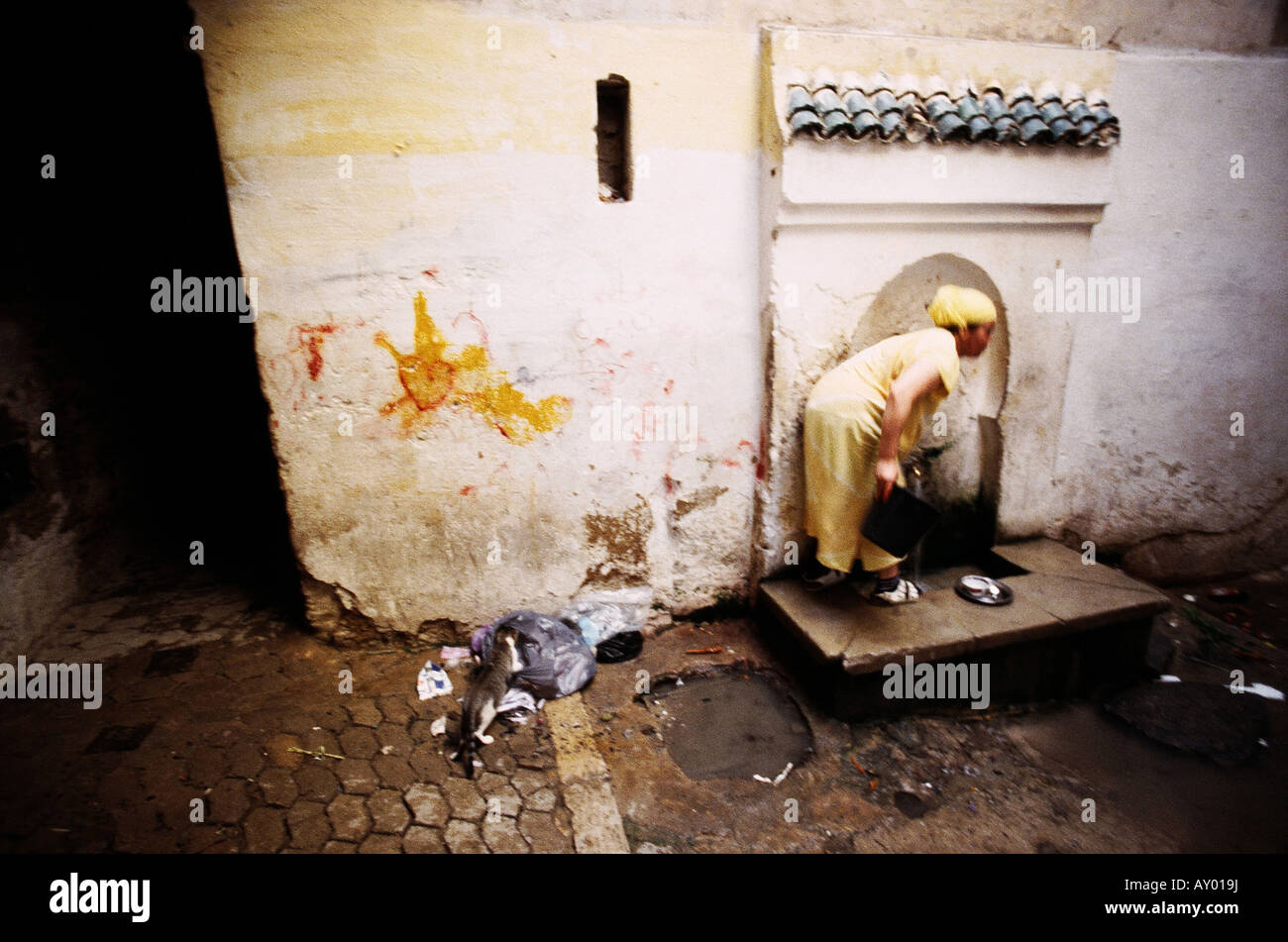 Eine Frau holt Wasser aus einem öffentlichen Hahn wie eine Katze stöbert in einer Tasche von Müll Fes Marokko Stockfoto