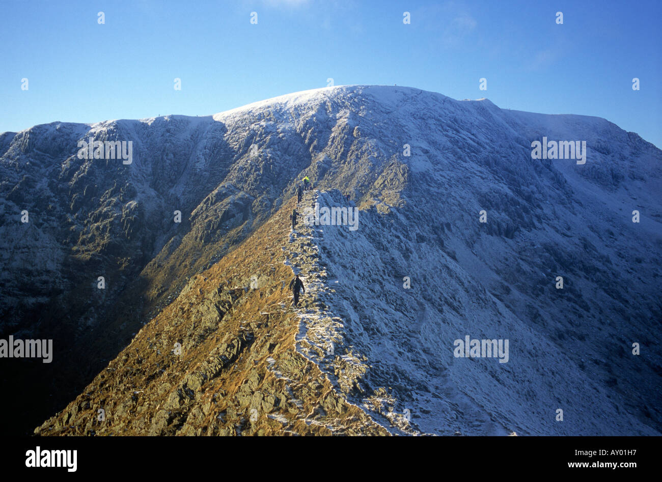 Striding Edge, Lakelandpoeten, Cumbria, Lake District, England Stockfoto