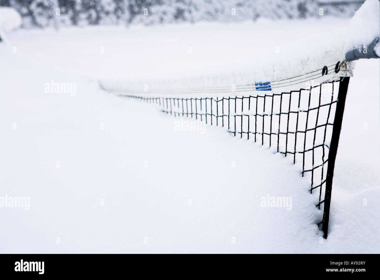Tennis net begraben in frische Decke aus Schnee Winter Alaska USA Stockfoto