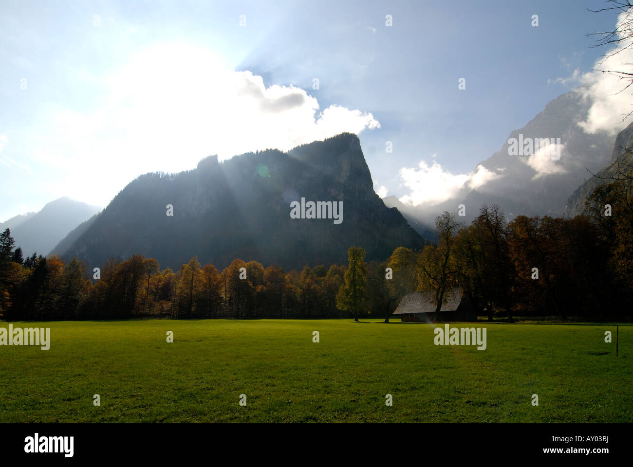 Eine Wiese im Berchtesgadener Land National Park Bayern Deutschland Stockfoto