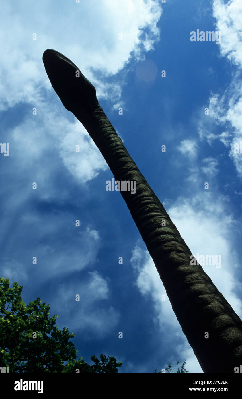 Niedrigen Winkel Schuss von Lifesize Modell der Dinosaurier Dinosaur Adventure Park In Norfolk Stockfoto