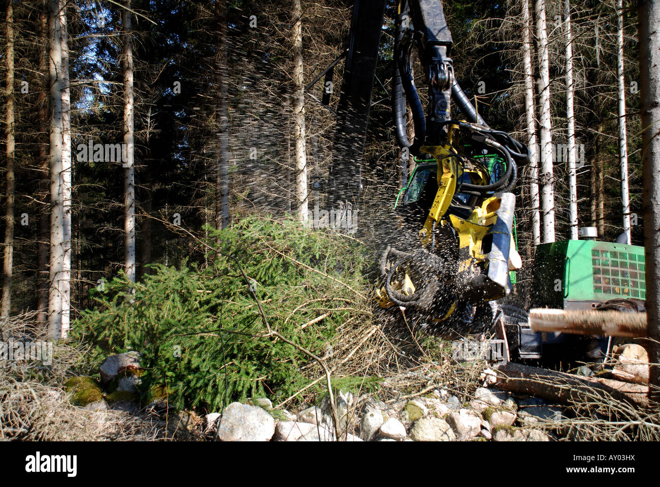 Arbeiten im Wald Stockfoto