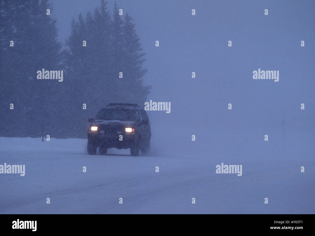 Geländewagen fahren in einem Schneesturm Stockfoto