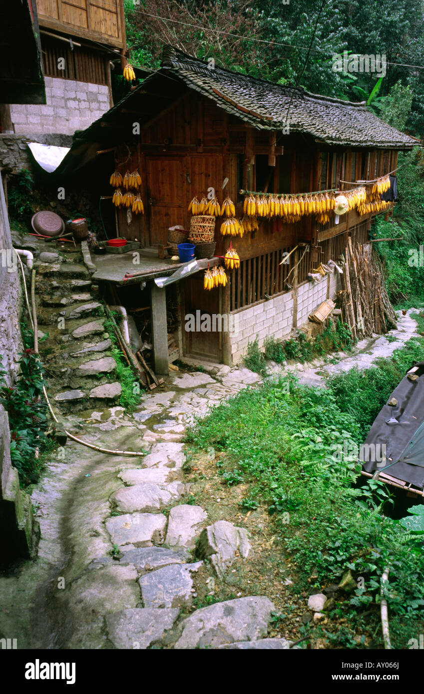27. August 2006 - Mais hängen zum Trocknen von einem Haus am Yao Minderheit Dorf von Ping'an in der chinesischen Provinz Guangxi. Stockfoto