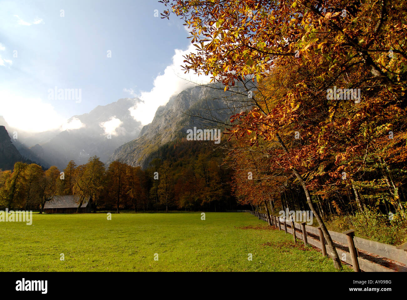 Eine Wiese im Berchtesgadener Land National Park Bayern Deutschland Stockfoto